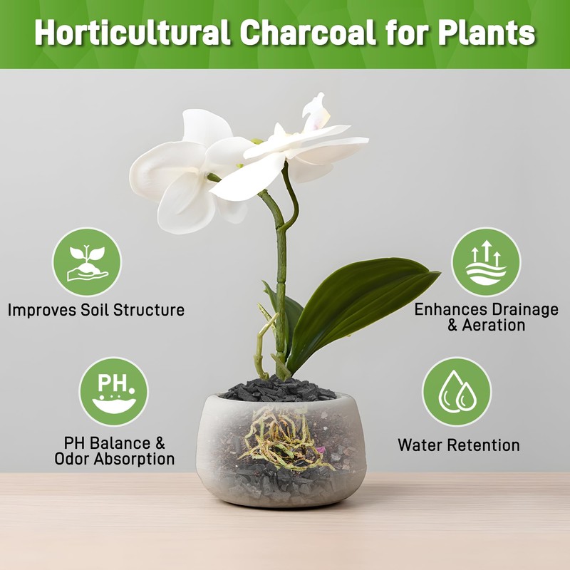 2 Quarts Horticultural Charcoal for Indoor Plants-Hardwood Potting Soil Amendment