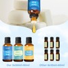 Colomix Clean Fragrance Oil Set, 30mlx3 Premium Essential Oils for