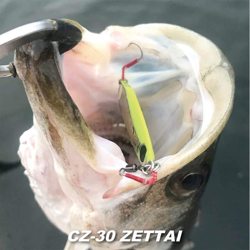 Coreman CZ-30 Metal Jig Zettai #007 Sardine Gold