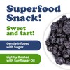 Food to Live Dried Blueberries, 1.5 Pounds – Unsulfured. Rich