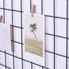 Kaforise Wire Wall Grid Panel, Multifunction Painted Photo Hanging Display