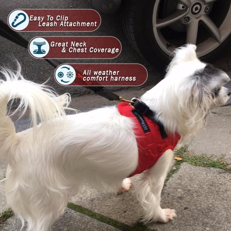 Comfort Fit No Pull Step-in Dog Harness – XS Harness