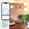 Homematic IP Homematic IP Smart Home Dimmaktor Unterputz C Phasenabschnitt,