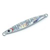 Reef Slow Fall Type B Metal Jig 100g Lure Jig