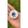 Pocket Pet Habitat Including Exotic Roly Poly Voucher (Pocket Habitat