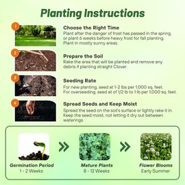 Outsidepride Outsidepride Perennial White Dutch Clover Seed - 10 lbs. Nitrocoated, Inoculated Clover Seeds for Lawn Alternative, Erosion Control, Food Plots, Ground Cover, & Pasture Mixtures in USDA Zones 3-10