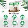 ECO Amenities 50 Pack 1 oz Travel Size Soap Bars,