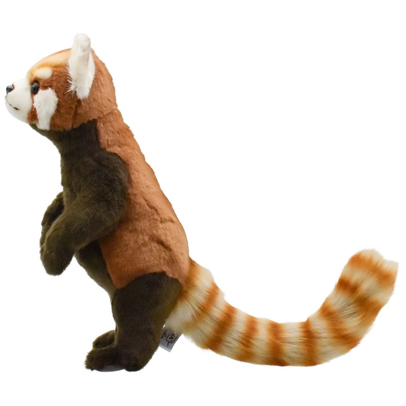 BH7252 HANSA Red Panda 37