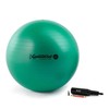 Pezzi Maxafe Original Pezziball 42 cm with Pump Green Gymnastics