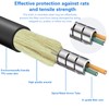 Qilnyeh 10M Armoured Fibre Optic Cable LC/APC to LC/APC