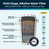 Invigorated Water - Alkaline Countertop Water Filter Dispenser, Large 52-Cup
