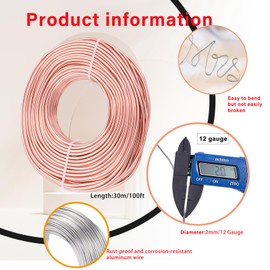12 Gauge 2mm Rose Gold Aluminum Craft Wire,100 Ft/30m Bendable Metal Crafting Wire for Sculpting,Bike Modelling Skeleton Crafting Floral Making Wire,Jewelry Making Wire,Binding Wire Xmas Wreath Wire