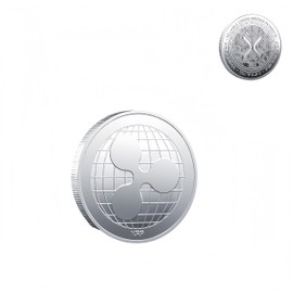 XRP Coin 1.57 Inch - Physical Metal XRP Ripple Cryptocurrency Coin with Premium Plastic Protective Case, Collectible Ripple XRP Merchandise & Crypto Gold Coin Gift (Silvery)