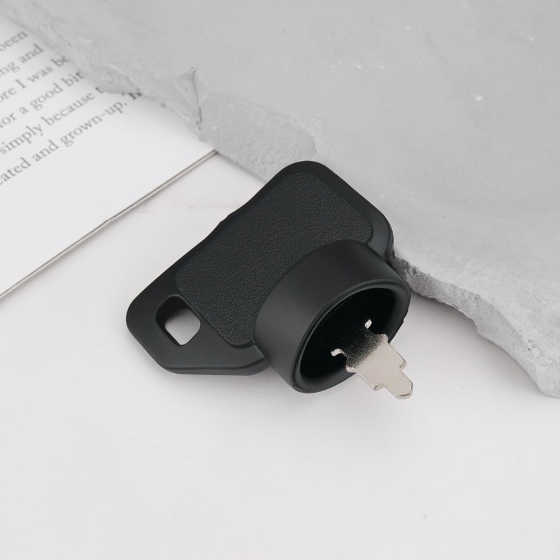 SING F LTD 2pcs Lawn Mower Ignition Switch Key Ignition