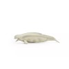 C/O Beluga Whale, Movable Parts Beautiful Plastic Replica 4.5" Long