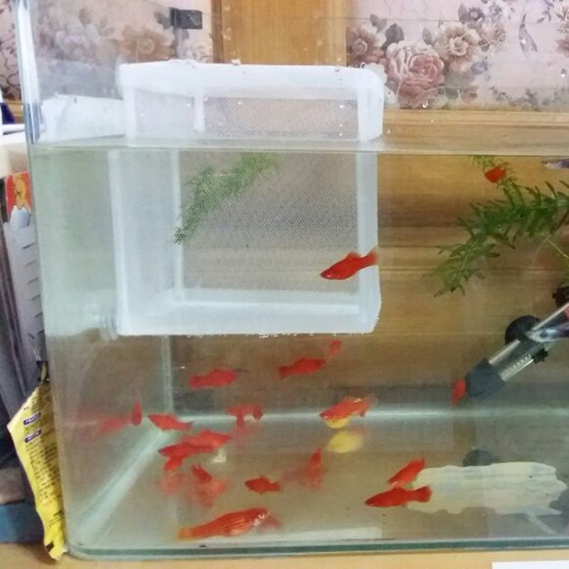 White Nylon Mesh Fish Fry Hatchery Breeder Box Separation Net