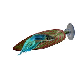 CTWPets Betta Fish Hammock, Aquarium Leaf Rest, Aquarium Betta Hide (Red & Green)