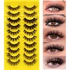 10 Pairs 5 Styles Mixed Clear Band Artificial Eyelashes Cat