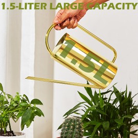 Chemlliy Watering Can for Indoor Plants, 50 oz/1.5L Stainless Steel Watering Can Pot with Long Spout, Garden Watering Cans with Comfortable Handle for Indoor House Plants Bonsai Flower Decorative