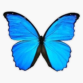 Generic Blue Butterfly Magnet Bumper Sticker Car Magnet Flexible Reuseable Magnetic Vinyl 5"