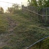 LXGKREL Bird Protection Net Chicken Net Garden Net Poultry Net