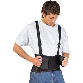 Safebelt Back Support Small