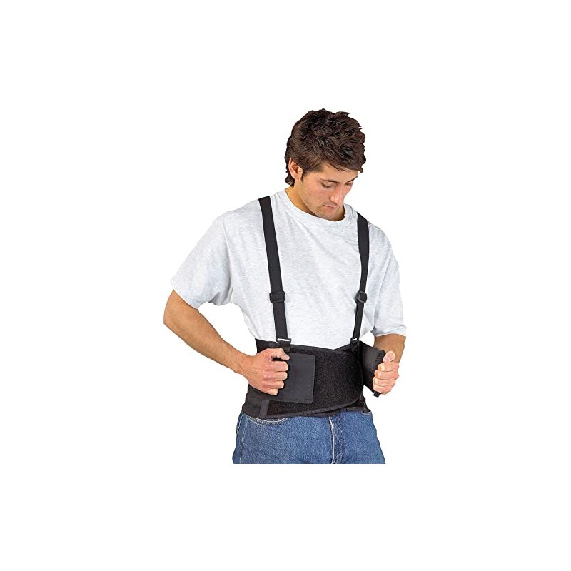 Safebelt Back Support Small