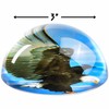 Rhode Island Novelty 80 mm Dome Paperweight Eagle