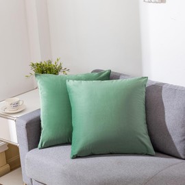 RainRoad Sage Green Throw Pillows Covers Set of 2 Soft Velvet Decorative Pillow Covers 20x20 Inch for Couch Bed(Sage Green, 20" x 20"(2pcs))