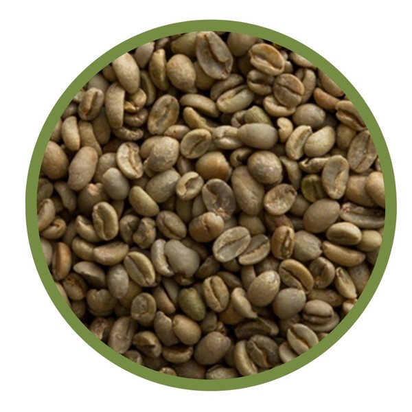 Coffee Raw Beans Mocha Shidamo G-4 (GRATEFULCOFFEE) (800g, Non-Flavored)