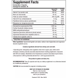 Biotics Research - ChondroSamine Plus (90caps)