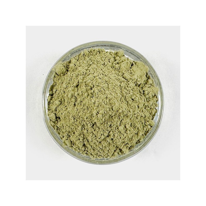 Oherb 국산 솔잎가루 솔잎분말 1kg Korean Pine Needle Powder 1kg