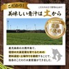 オーガランド 大麦若葉粉末 100g 朝摘み 大麦若葉粉末100% お徳用 鹿児島県産 青汁 農薬不使用 無添加