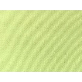 Lefranc Bourgeois 302010 Flashe Bio-Based Acrylic and Vinyl Paint, Almond Green, 75 ml, Environmentally Friendly, Matt, Lightfast, Waterproof, Opaque