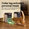 PETLIBRO Upgraded RFID Automatic Cat Feeder, 5G Wi-Fi Automatic Pet