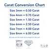 14k White Gold Princess-Cut Square Cubic Zirconia Stud Earrings with