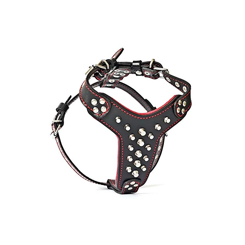 Bestia studded leather harness. French Bulldog size. 100% leather. Handmade