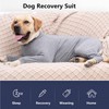 Pinellia Dog Recovery Suit, Abdominal Wound After Surgery Wear, Prevent