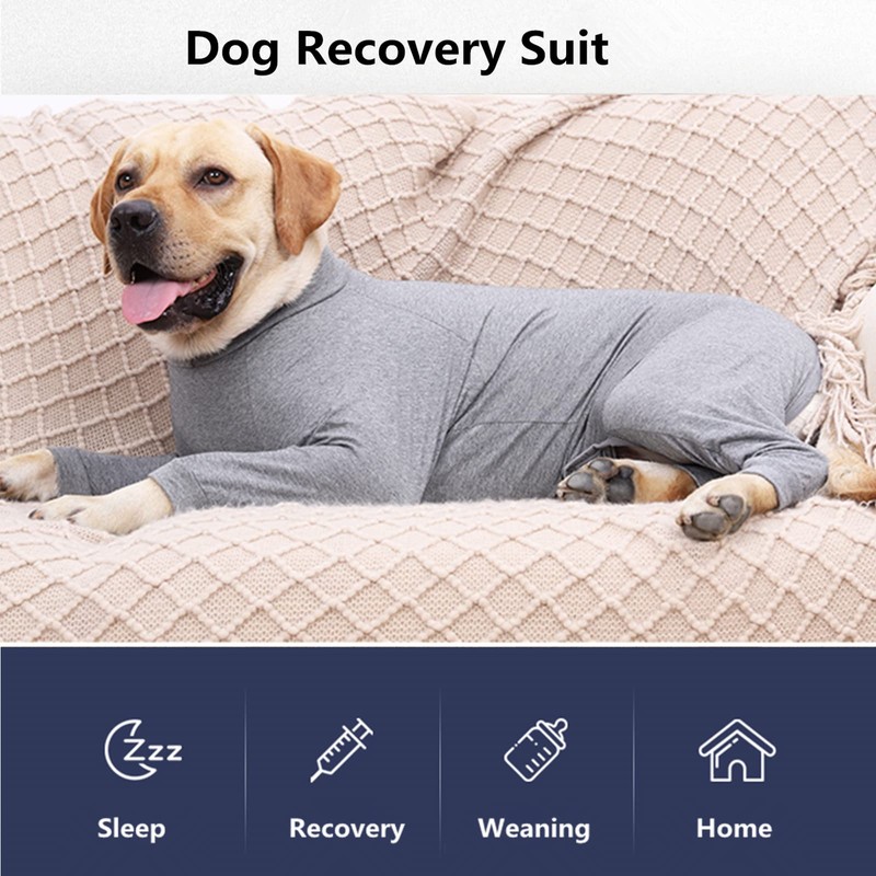 Pinellia Dog Recovery Suit, Abdominal Wound After Surgery Wear, Prevent