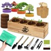Premium Bonsai Kit,Complete Bonsai Starter Kit with Wooden Gift Box,repotting