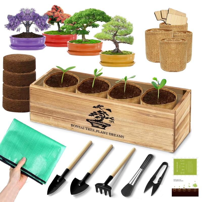 Premium Bonsai Kit,Complete Bonsai Starter Kit with Wooden Gift Box,repotting