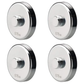 4 Pieces 0.75kg Weight Plates for 5kg Steel Dumbbells (4×0.75kg)
