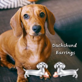 Dachshund Dog Earrings Sterling Silver Dachshund Stud Earrings for Women Hypoallergenic Adorable Puppy Dog Earrings Jewelry Gifts for Pet Lovers