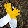 1 Pair Cactus Handling Proof Gloves, Rose Thorn Pruning Gloves,