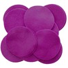 Playfully Ever After Magenta Craft Felt Circles (2 Inch -