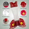 Perky-Pet 203CPBN Glass Hummingbird Feeder for Outdoors with Perches, Ant