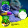 Lomas Anticloro con Vitamina B1 para Peceras y Acuarios 120