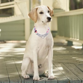 haoyueer Martingale Dog Collar - Stainless Steel Chain, No Pull Training Collar with Flower Design for Large Medium Small Dogs (M, White)