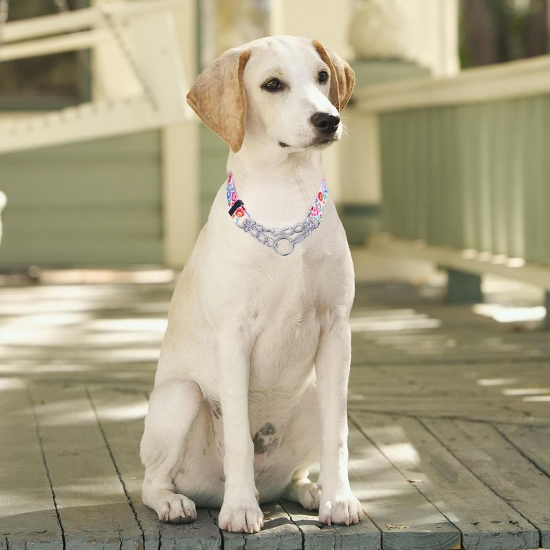 haoyueer Martingale Dog Collar - Stainless Steel Chain, No Pull