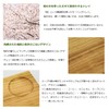 Tosa Ryu SM-002 Tray, Morning Tray, Cherry Blossom, M, 9.1
